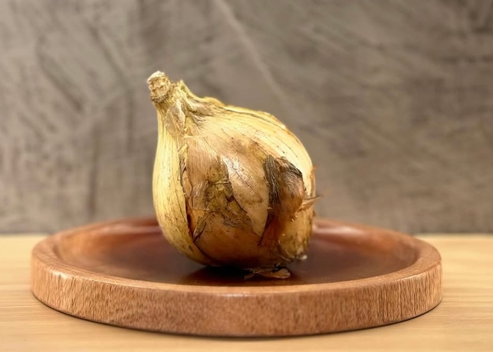 素材の新玉ねぎ