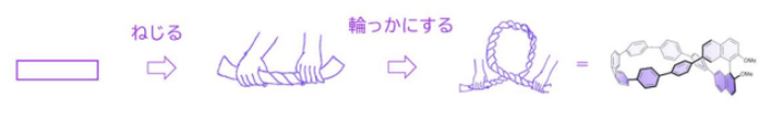 (図2)オリゴフェニレンを「ねじる」「環状にする」の概念図