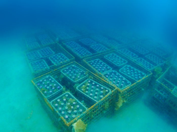 海底の設置の様子