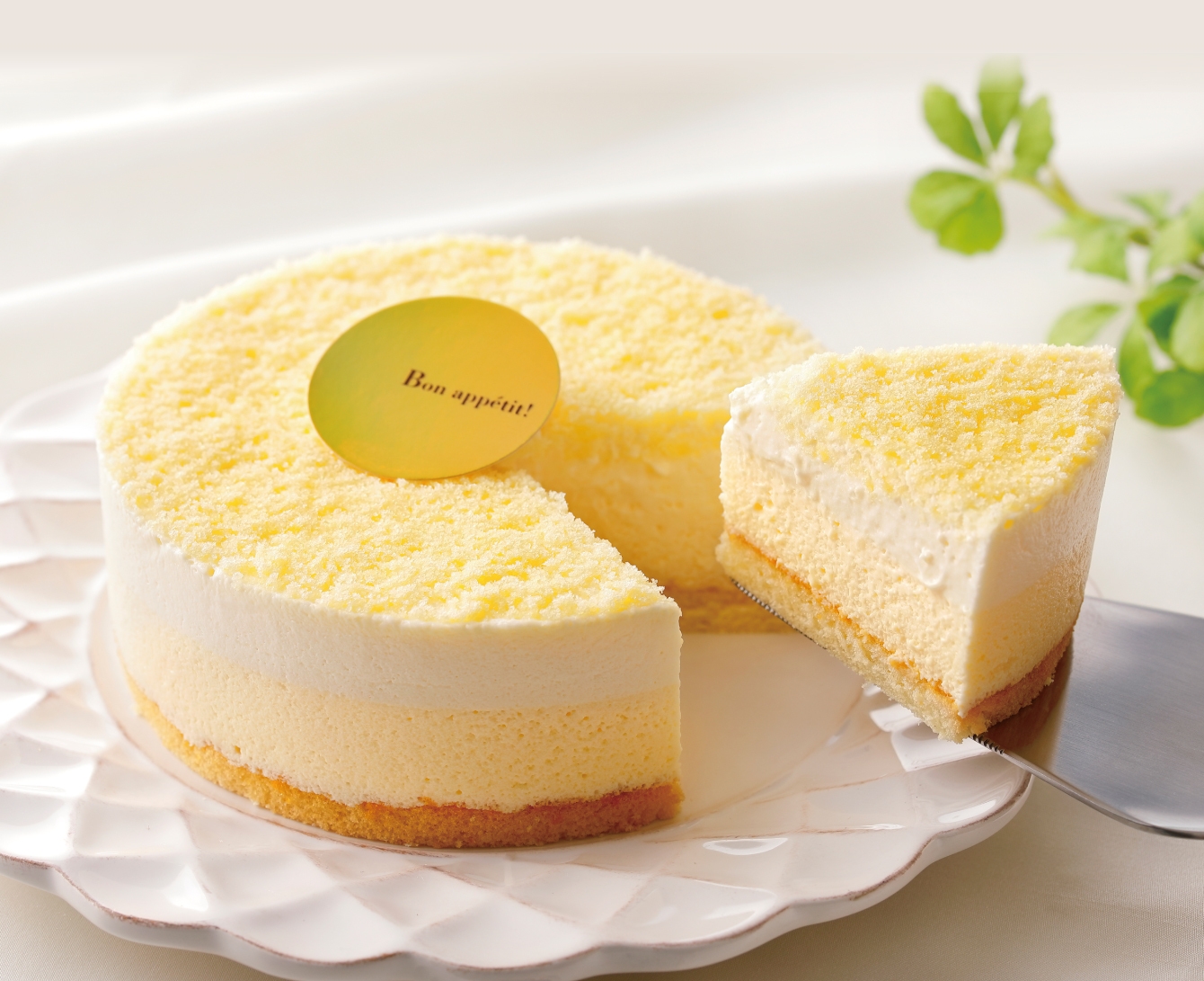 メディア用 ファーストレディ