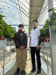 尼崎の和菓子店「菓匠 彩花苑」にて尼崎産いちごを使った 和スイーツを新発売