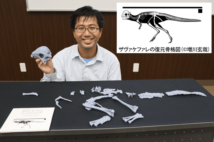 ザヴァケファレの等身大化石レプリカの頭部を手にする高崎助教