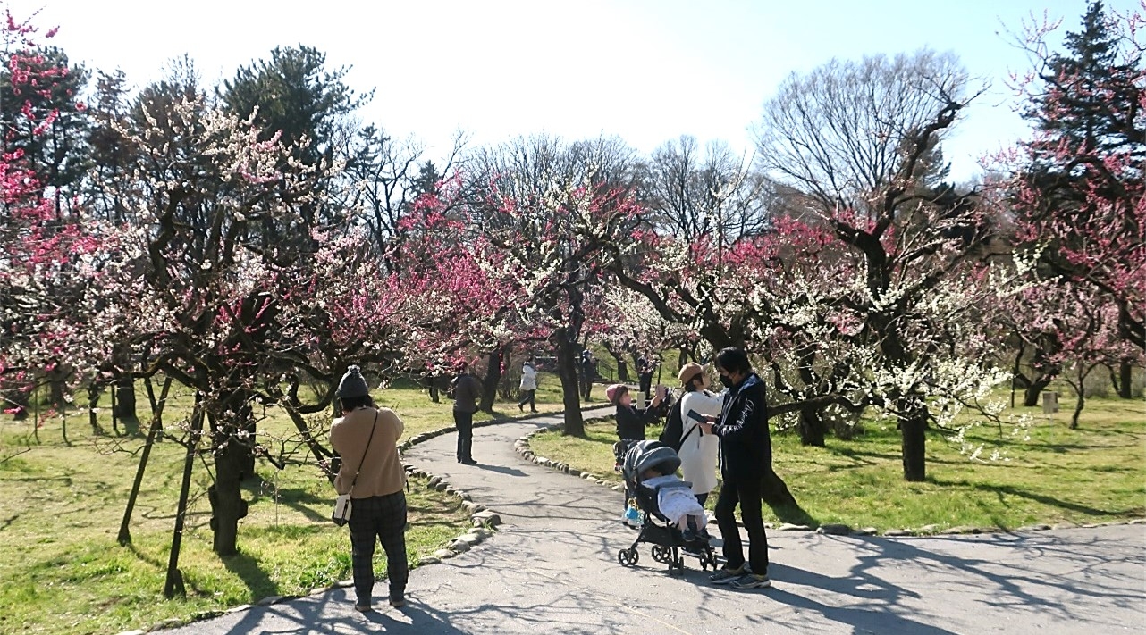 うめ園(令和4年度撮影)