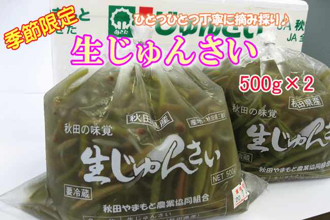 秋田県産 生じゅんさい