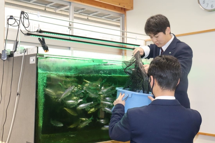 まずは水揚げからスタート