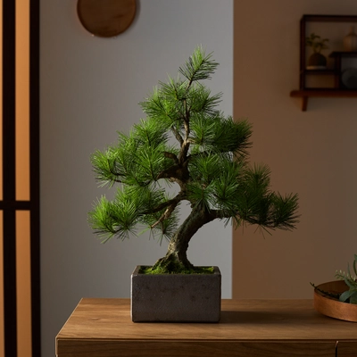 日本の職人が一から制作する本格的工芸盆栽　 A-BONSAI(R)と信楽焼窯元とのコラボレーションが実現！ 5月18日(日)早朝5時からSHOP CHANNELで発表！