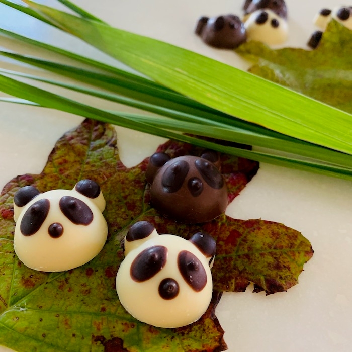 ショコラdeパンダ(白がブラン/黒がノワール) シャオシャオ レイレイ