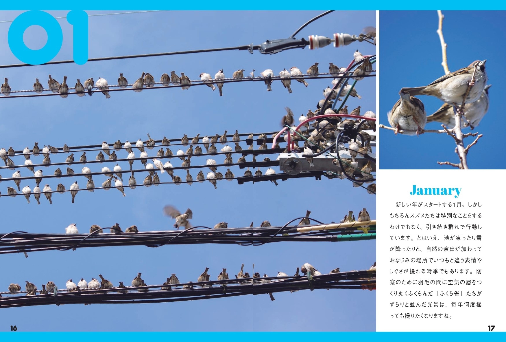 01 January①