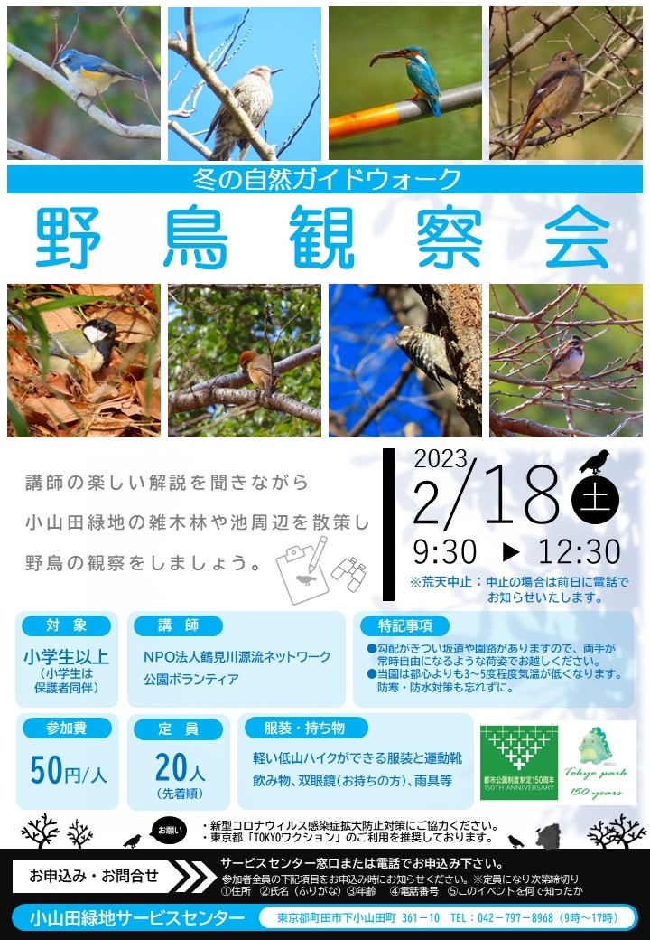 イベントチラシ