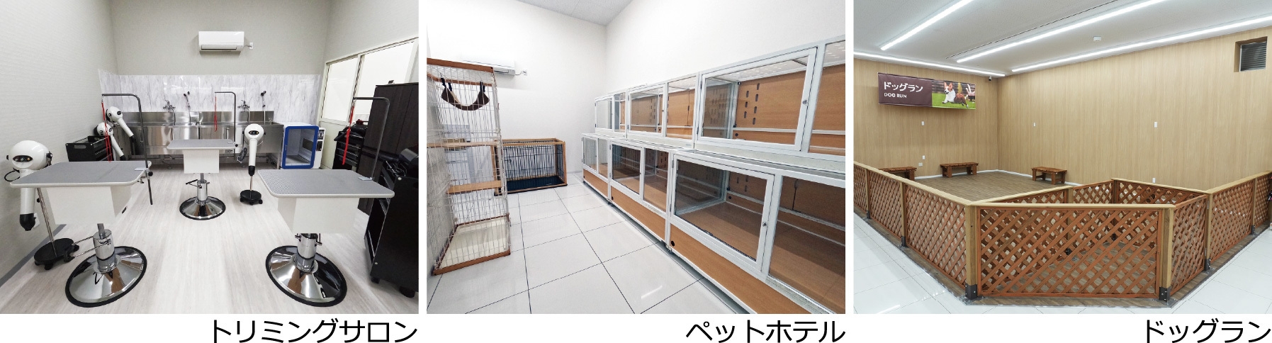 多様なサービスで快適なペットライフをサポート