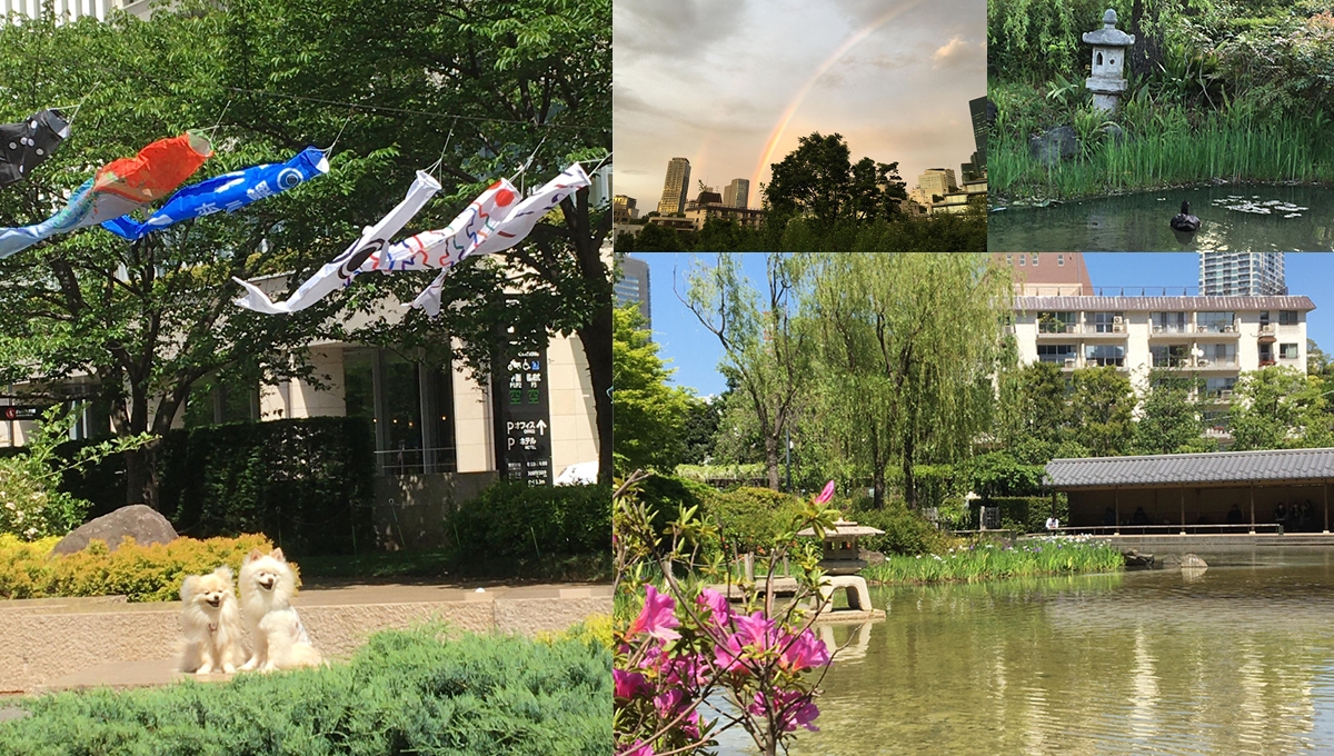 「カメラをもって散歩に行こう」