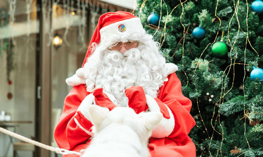 わんちゃんも喜ぶイベント