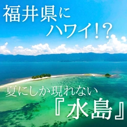 福井県の無人島「水島」へのフェリー運航が7月13日開始　 7～8月しか渡ることのできない“海の楽園・北陸のハワイ”