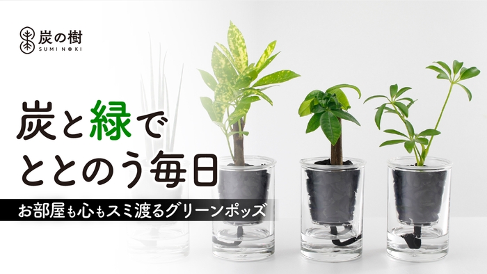 土不要!ブランド炭が水と空気のバランスを保つ。ズボラでも枯らさない新感覚グリーン