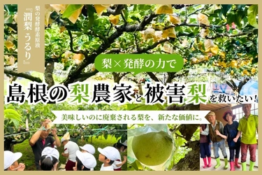島根県の“被害梨”を活用した発酵酵素ドリンク 「潤梨(うるり)」の先行予約販売を6月7日まで実施