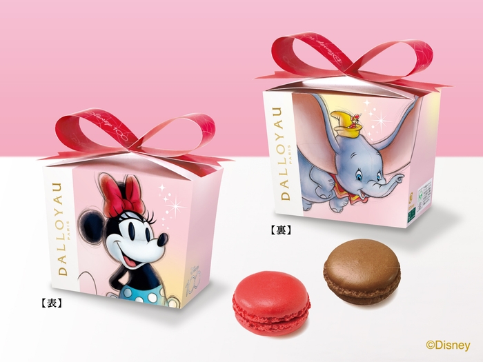 ディズニー100 マカロン詰め合わせ(2個入) ミニーマウス&ダンボ