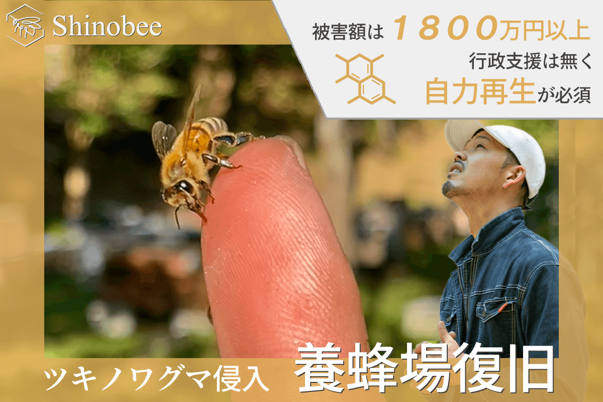 クラウドファンディングバナー(初期)