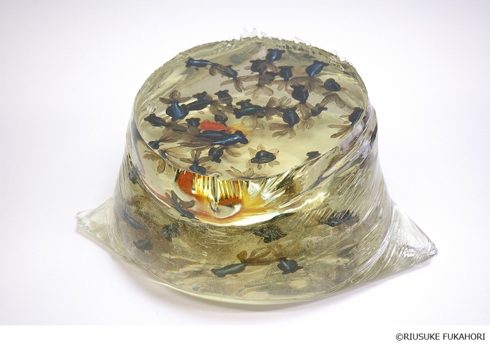 《初出荷 出目金》 2009年