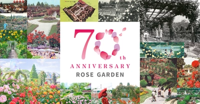 今年で70周年！お客さまへの感謝を込めて、「70thローズフェスティバル」を開催！