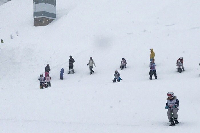 スノーストライダー2