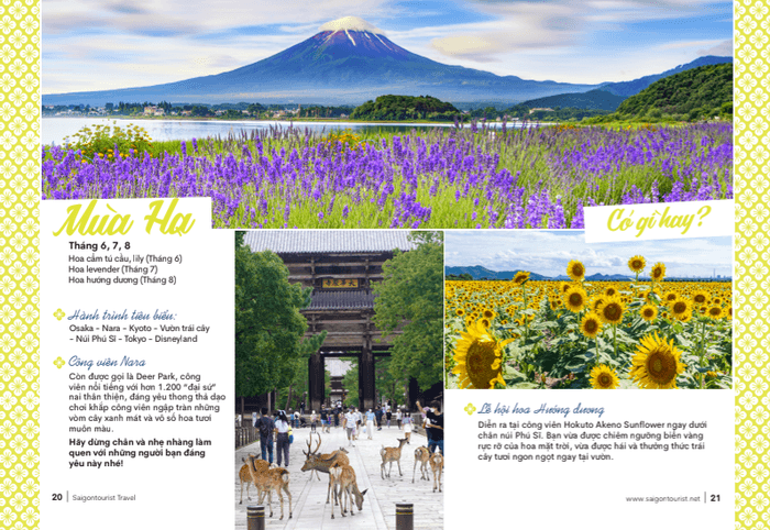 サイゴンツーリストの冊子