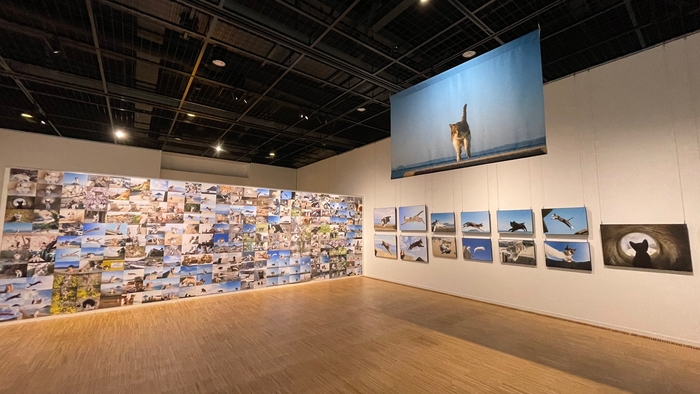 過去の展示の様子(宝塚市立文化芸術センター)1