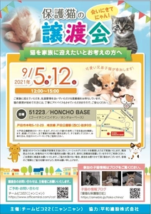 『保護猫と里親様』をお繋ぎする活動をしているグループ 『チームピコ22(ニャンニャン)』が保護猫 譲渡会を開催