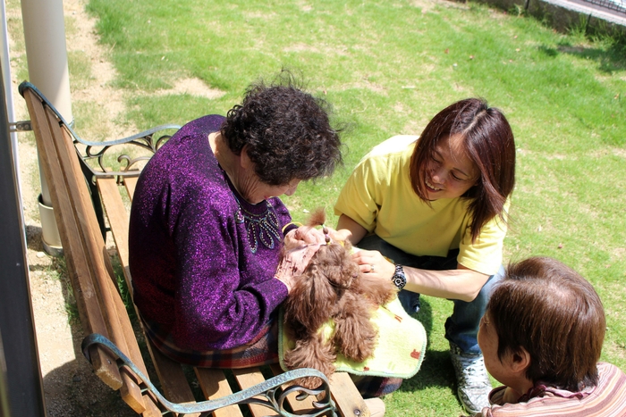 ミニミニプラン