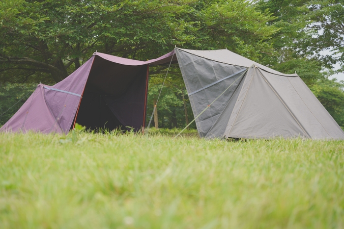 パープルとダークグレイの連結設営