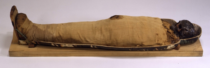 「パシェリエンプタハのミイラ」 エジプト テーベ出土 第3中間期(第22王朝)・前945~前730年頃 エジプト考古庁寄贈 東京国立博物館蔵 東洋館3室で展示