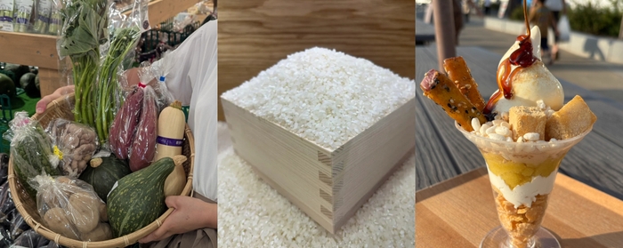 道の駅常総　秋の収穫祭を開催