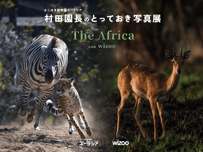 村田園長のとっておき写真展 with wizoo『The Africa』