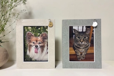 わんちゃん、ねこちゃん用フォトフレーム「プチテコレ」4/8発売！ プロのカメラマン撮影の写真をカタチに残すPETLIFコラボ企画