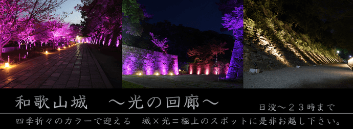 和歌山城 ～光の回廊～