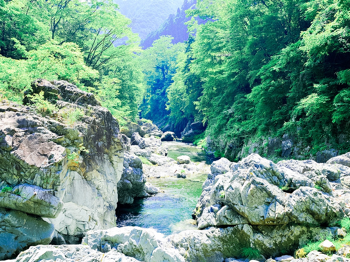檜原村を流れる清らかな秋川。鮎や野鳥など多くの動植物が生息します