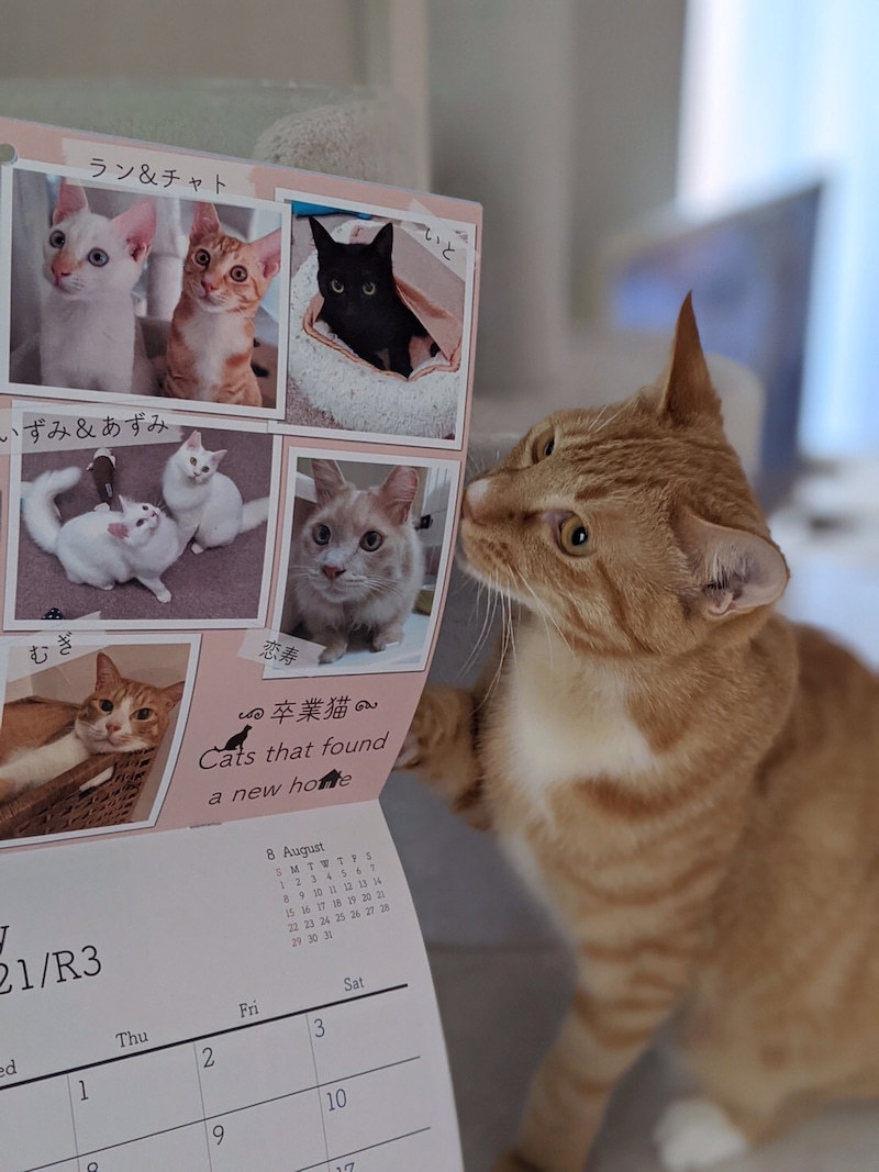 リターン:オリジナルカレンダー