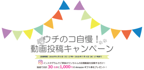 愛犬の動画投稿でAmazonギフト券がもらえる！ ブリーダー×家族のマッチングアプリ『ウィズパピー』 Instagramキャンペーンを開催
