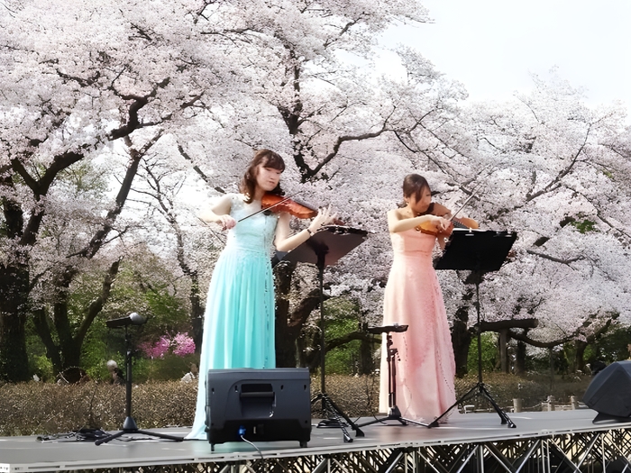 さくらコンサート(過去の様子)