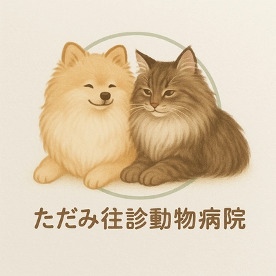 武蔵野市発『ただみ往診動物病院』が往診エリアを6/22より拡大　 ―ご自宅が診察室に変わる安心感―