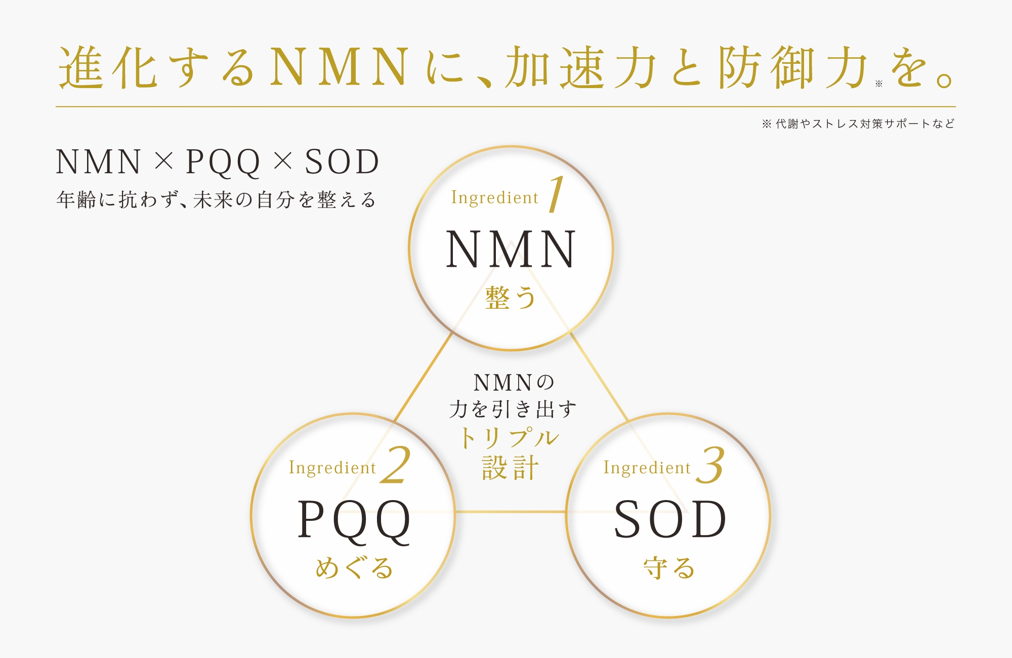 NMN・PQQ・SOD トリプル設計
