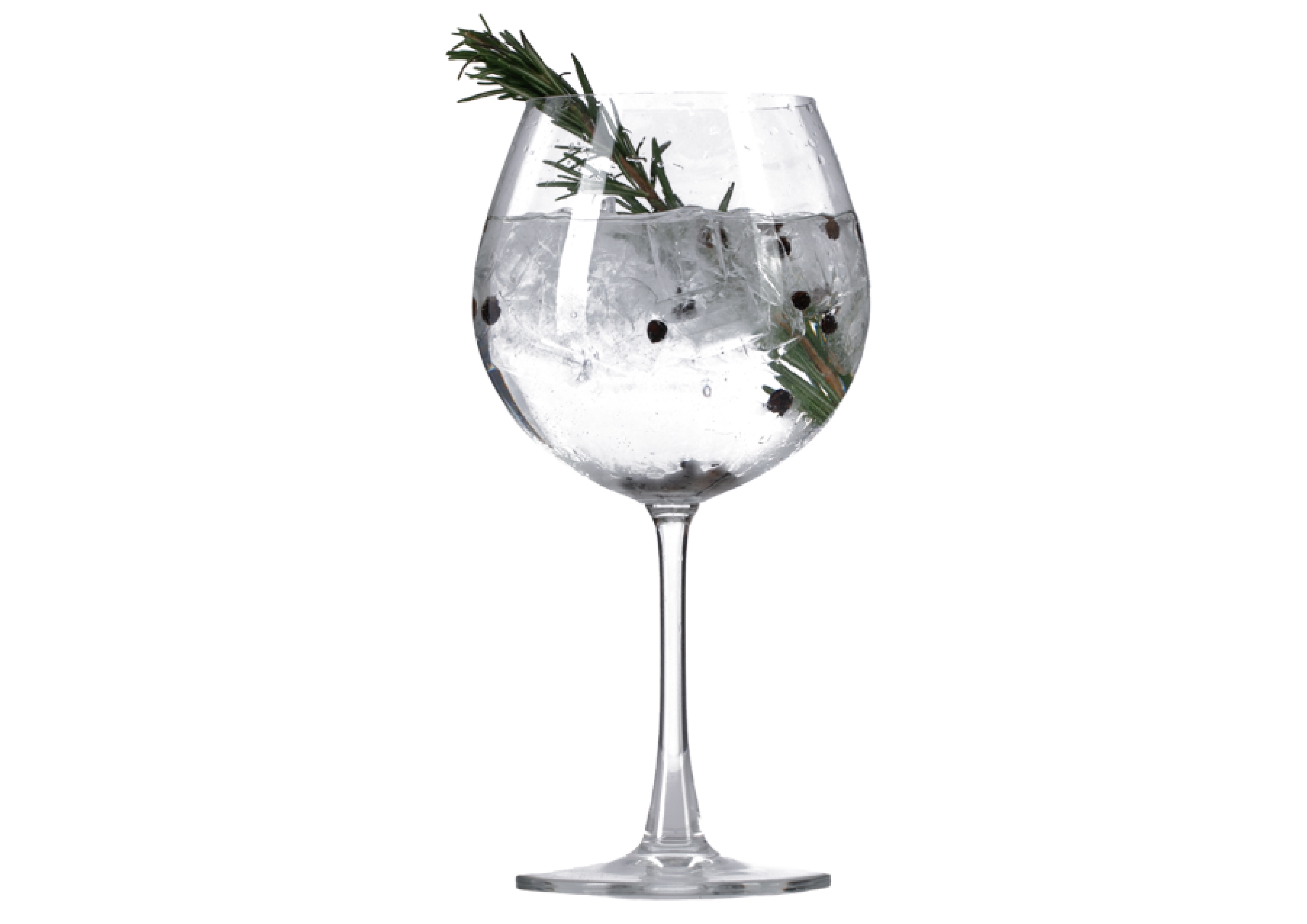 サイゴンバイガー&トニック