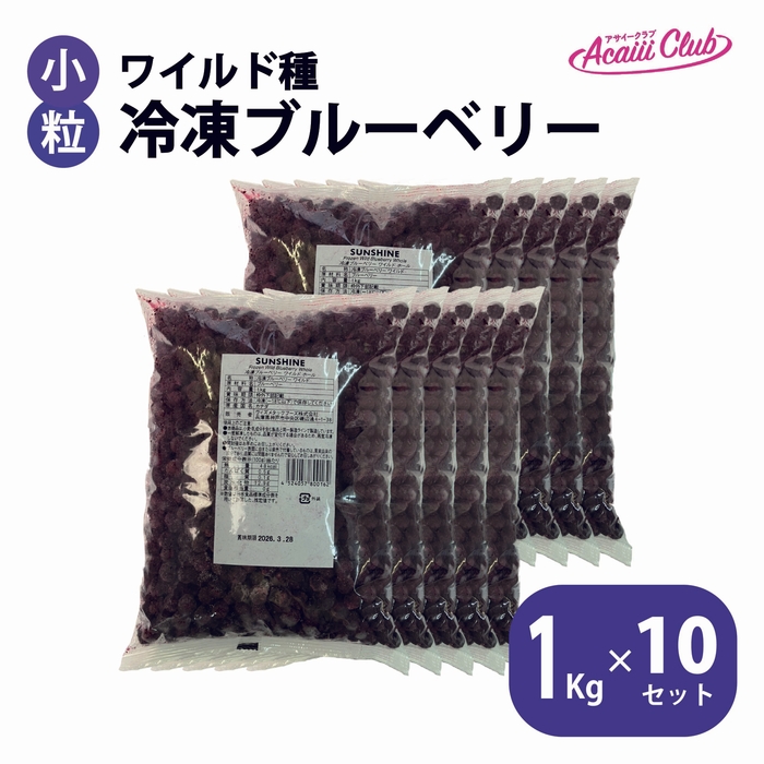 ワイルド種　冷凍ブルーベリー