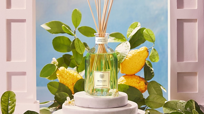 「LIMONE CEDRATO」Key Visual