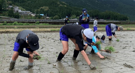 一昨年春に実施した田植え体験の様子