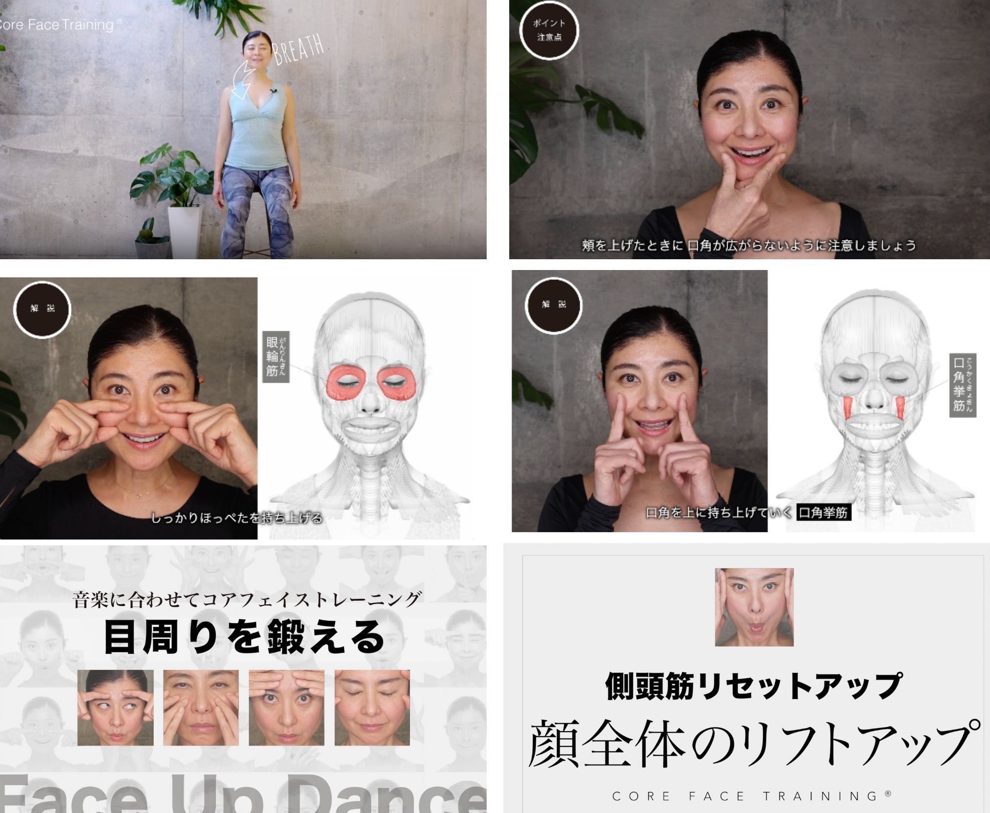 トレーニング動画 イメージ