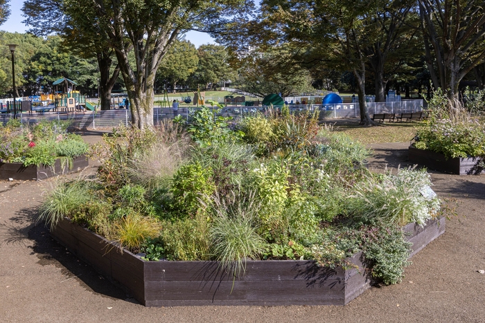 Bガーデンの様子(11月)