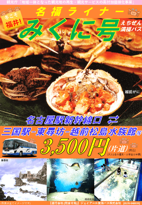 パンフレット（表）