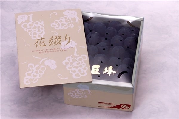 ＪＡふくおか八女　有核巨峰（１Ｋｇ）