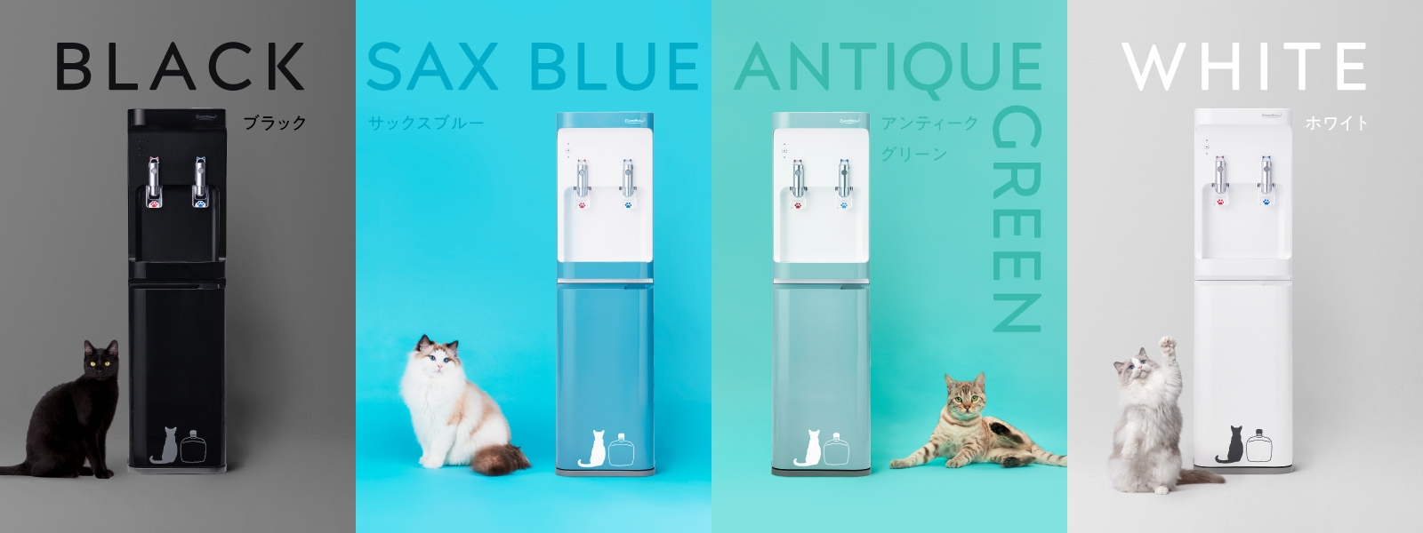 新色&アップグレードモデル新登場!