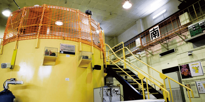 原子力研究所原子炉(UTR-KINKl)